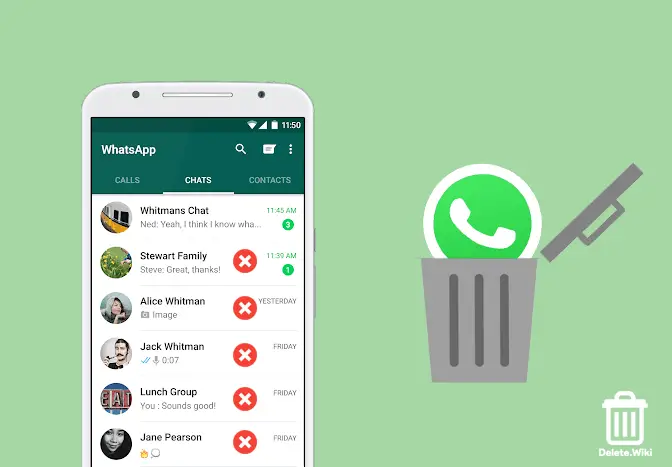 Delete Whatsapp Message
